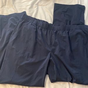 Blue Talbots pants